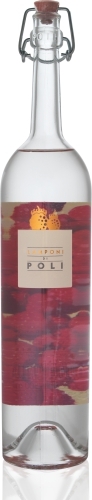 Lamponi di Poli - Himbeeren Fruchtbrand Lamponi di Poli - Himbeeren Fruchtbrand