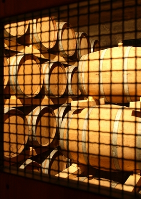 Slavonia oak barrels