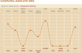 Poli Moscato Oro Profilo Sensoriale