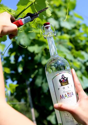 Maria, organic Grappa by Poli