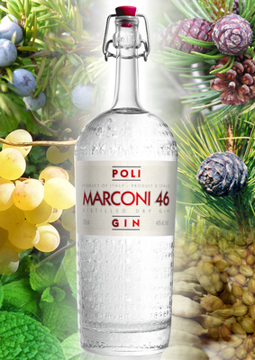 Poli gin Marconi 46 and its botanical