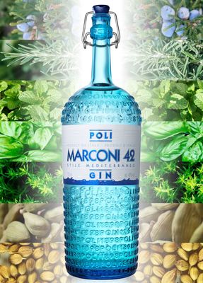 Poli gin Marconi 42 and its botanical