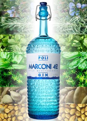 Il gin Poli Marconi 42 e le sue botaniche