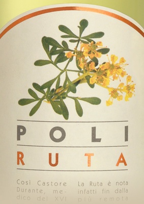 Poli Ruta (Rue twig)