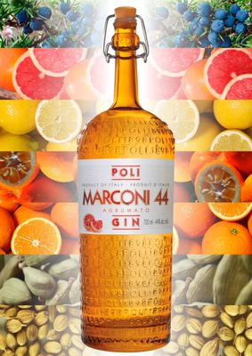 Gin Marconi 44 - Poli Distillerie
