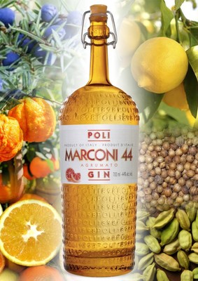 Gin Marconi 44 - Poli Distillerie