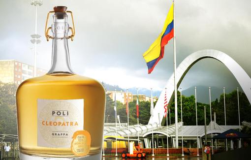 Have a Poli Grappa in Bogotà!