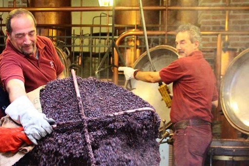 Poli Distillerie Aperte 2025