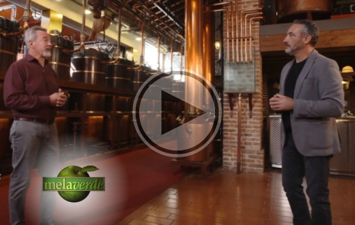 Italian National Television at the Poli Distillery