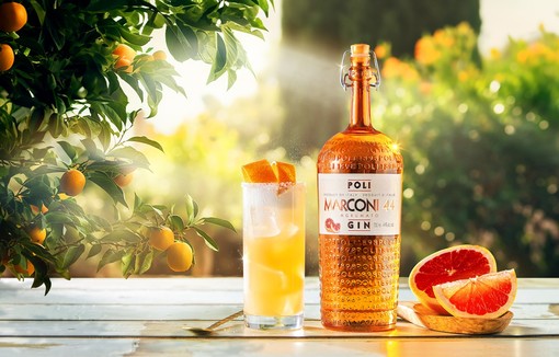 NEW GIN: POLI MARCONI 44 Agrumato