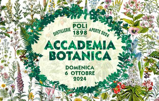 Poli Distillerie Aperte 2024