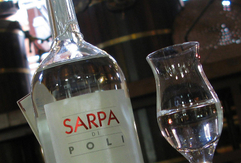 Che cosa significa  Sarpa ?