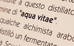 What is the difference between  Grappa  and  Acquavite ?