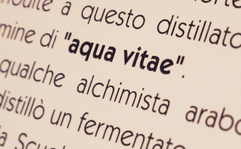 Che differenza c'è tra  Grappa  e  Acquavite ?