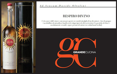 Grande Cucina comments on Grappa 'Luce della Vite' by Jacopo Poli.