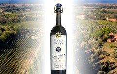 Edizione speciale per Grappa di Sassicaia