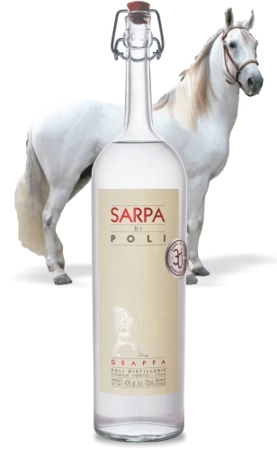 Sarpa di Poli