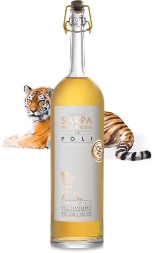 Sarpa Oro di Poli Sarpa Oro di Poli