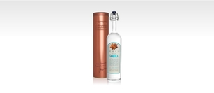 Elisir Sambuca Poli Metallrohr - Poli Liköre Elisir Sambuca Poli Metallrohr - Poli Liköre