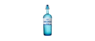 Gin di Poli Marconi 42 - gin mediterraneo Gin di Poli Marconi 42 - gin mediterraneo