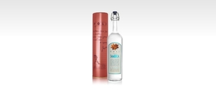 Elisir Sambuca Poli Metallrohr - Poli Liköre Elisir Sambuca Poli Metallrohr - Poli Liköre