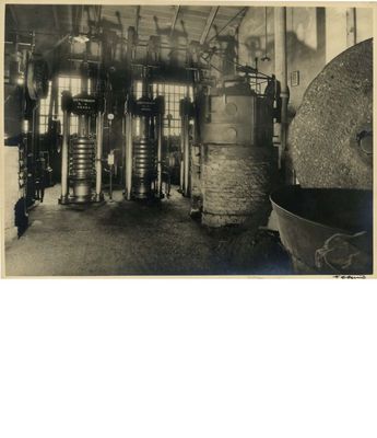 Archivio-Poli-Distillerie-nuovo-oleificio