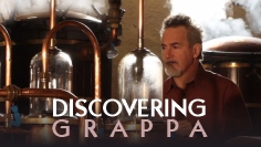 Discovering Grappa