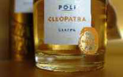 Grappa Poli Tasting in Vicenza